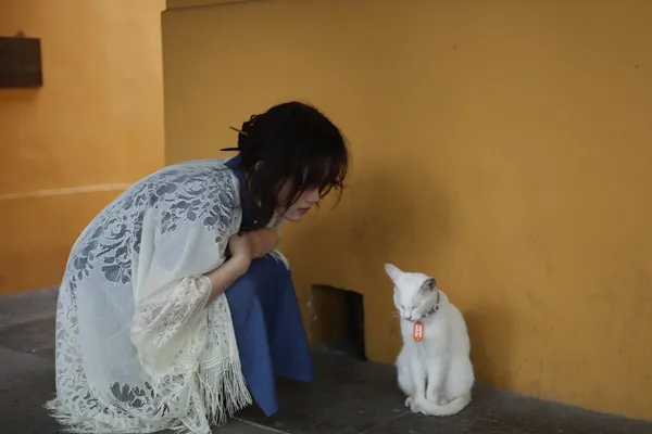 Cutie cat (TBH i like dogs the best)
